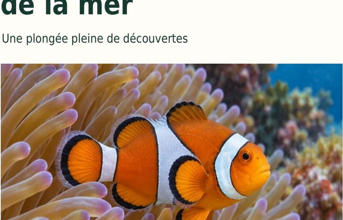 Illustration de la page « Les animaux de la mer ».