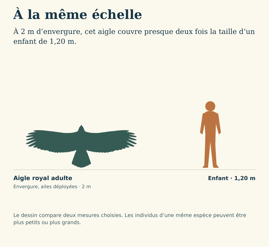 Illustration de la page « À la même échelle ».
