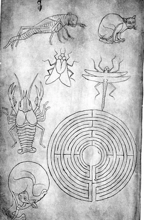 Illustration de la page « Le savoir circule ».