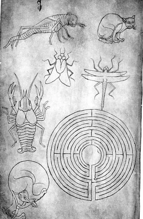 Illustration de la page « Le savoir circule ».