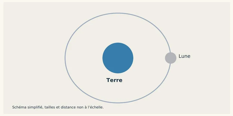 Schéma simplifié : la Lune en orbite autour de la Terre.